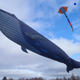 Illustration for article titled Beware the real-life, 98-foot Fail Whale who terrorizes the skies